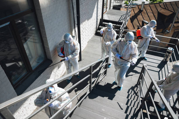 Best Biohazard Mold Removal  in Kingsbury, NV