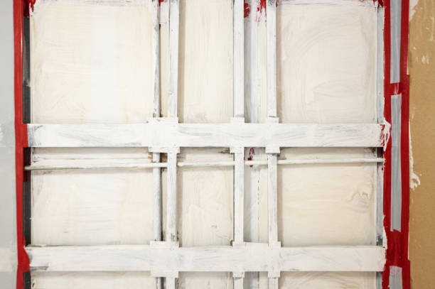 Mold Odor Removal Services in Kingsbury, NV